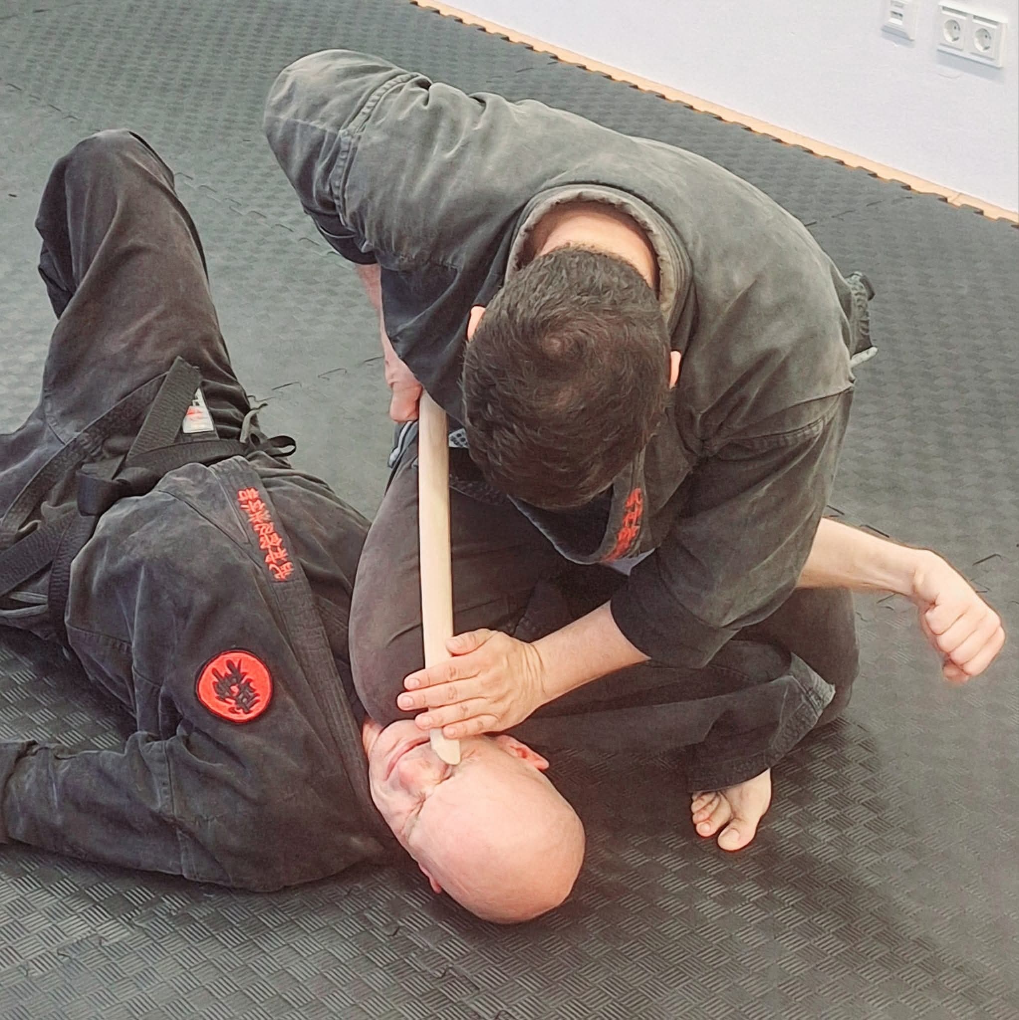 Bujinkan Ninjutsu Aryu Dojo Austria 1