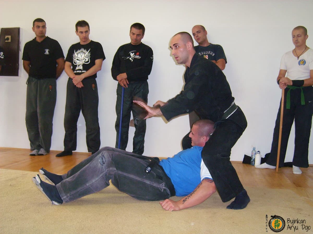 Bujinkan Aryu Dojo - Traditionell Ninjutsu Kampsport Träning 3
