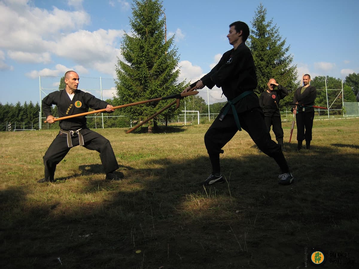 Bujinkan Aryu Dojo - Traditionell Ninjutsu Kampsport Träning 5
