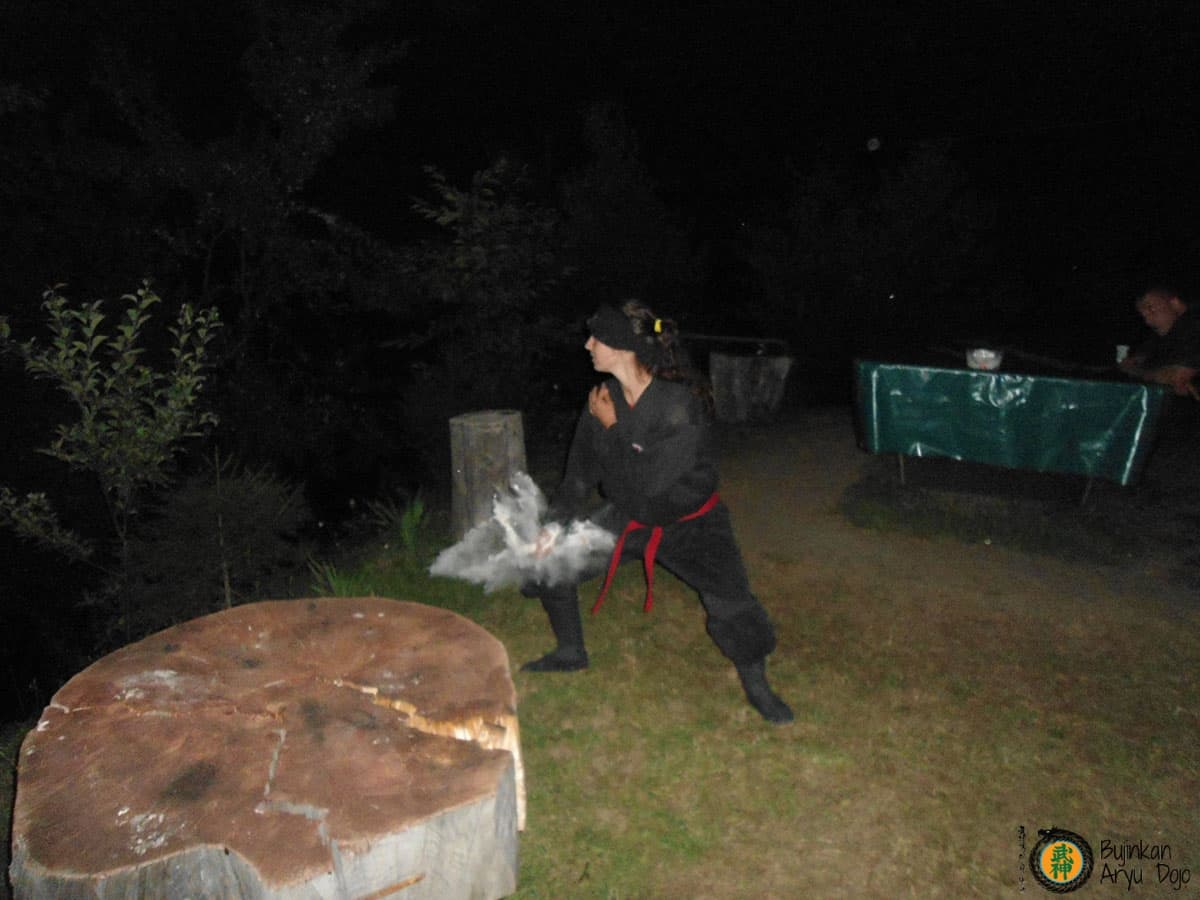 Bujinkan Aryu Dojo - Traditionell Ninjutsu Kampsport Träning 33