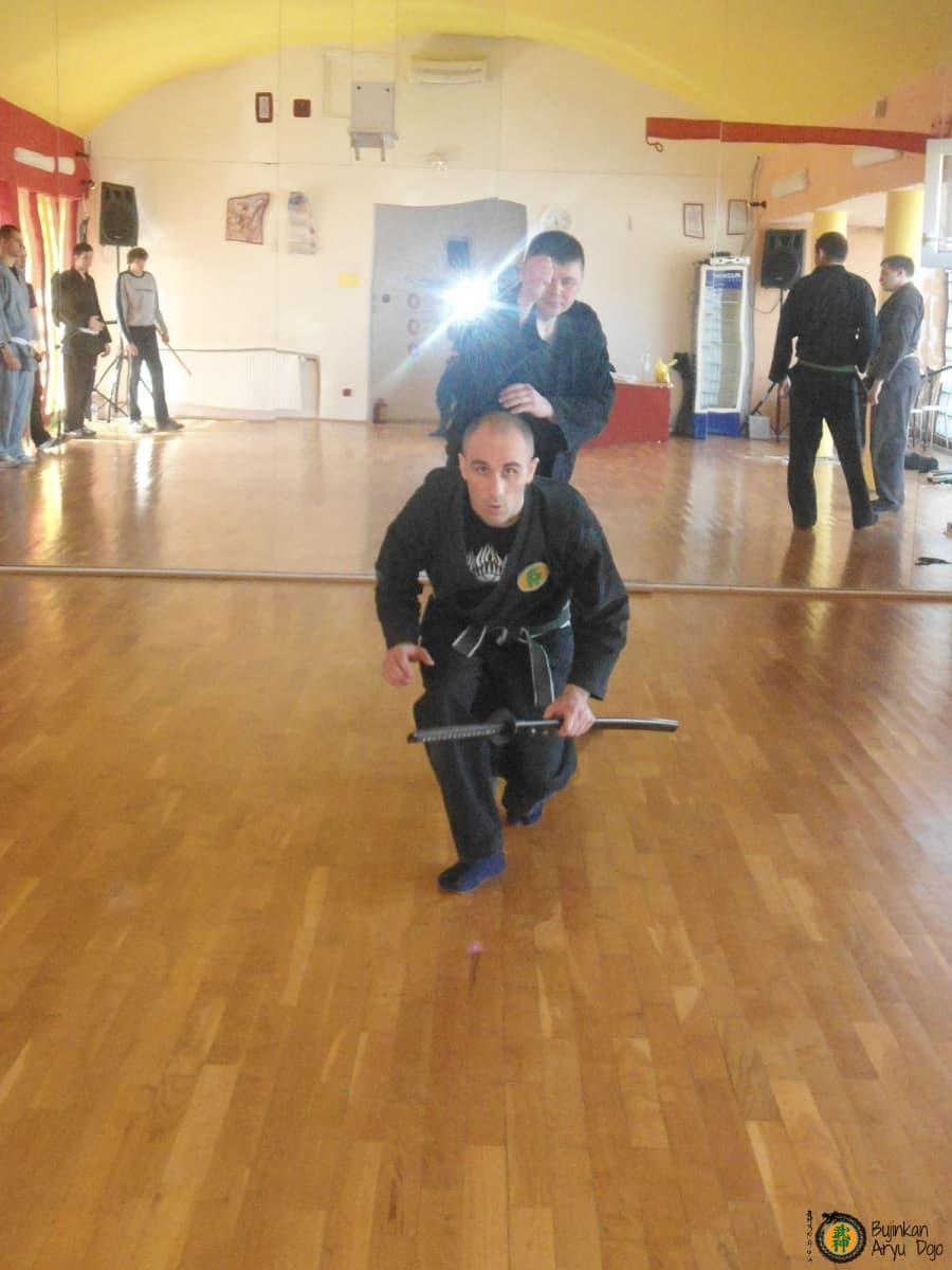 Bujinkan Aryu Dojo - Traditionell Ninjutsu Kampsport Träning 34