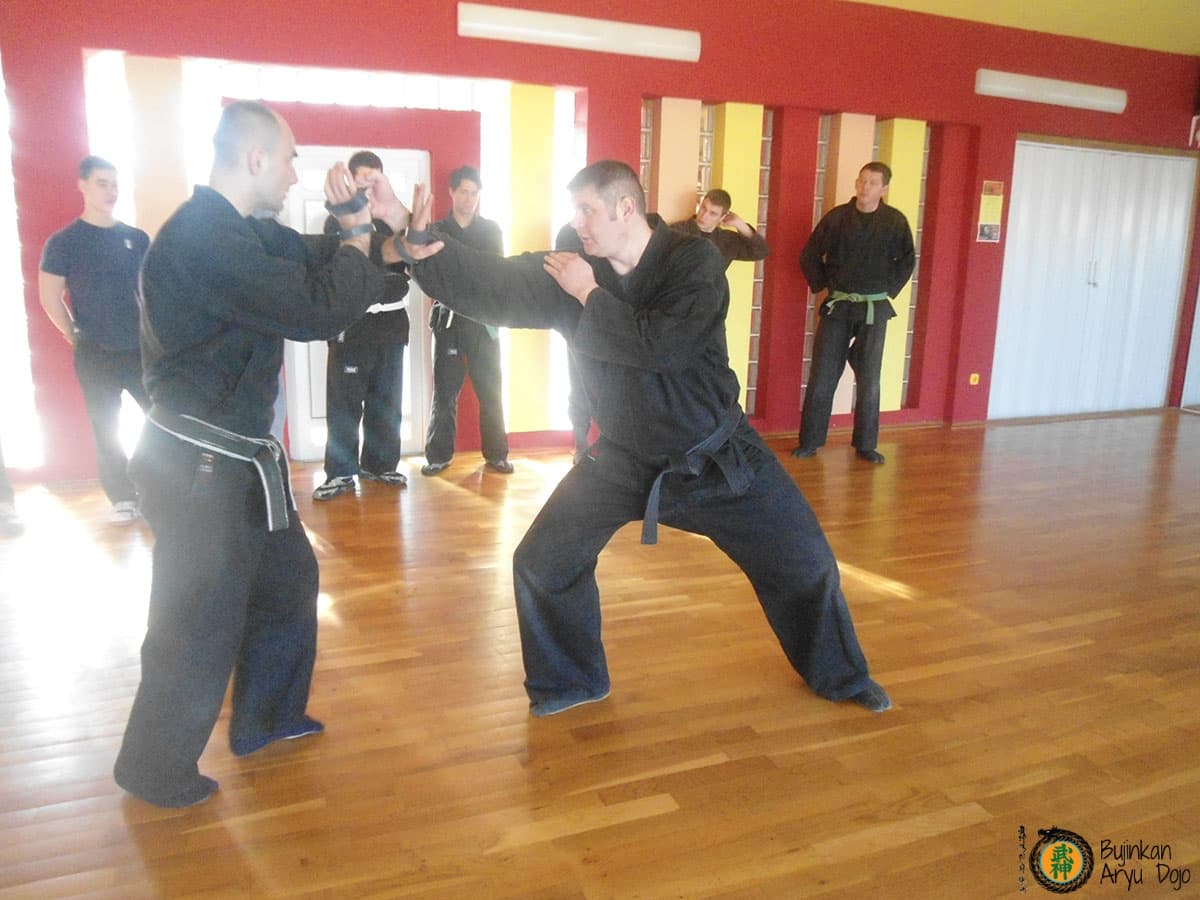 Bujinkan Aryu Dojo - Traditionell Ninjutsu Kampsport Träning 39