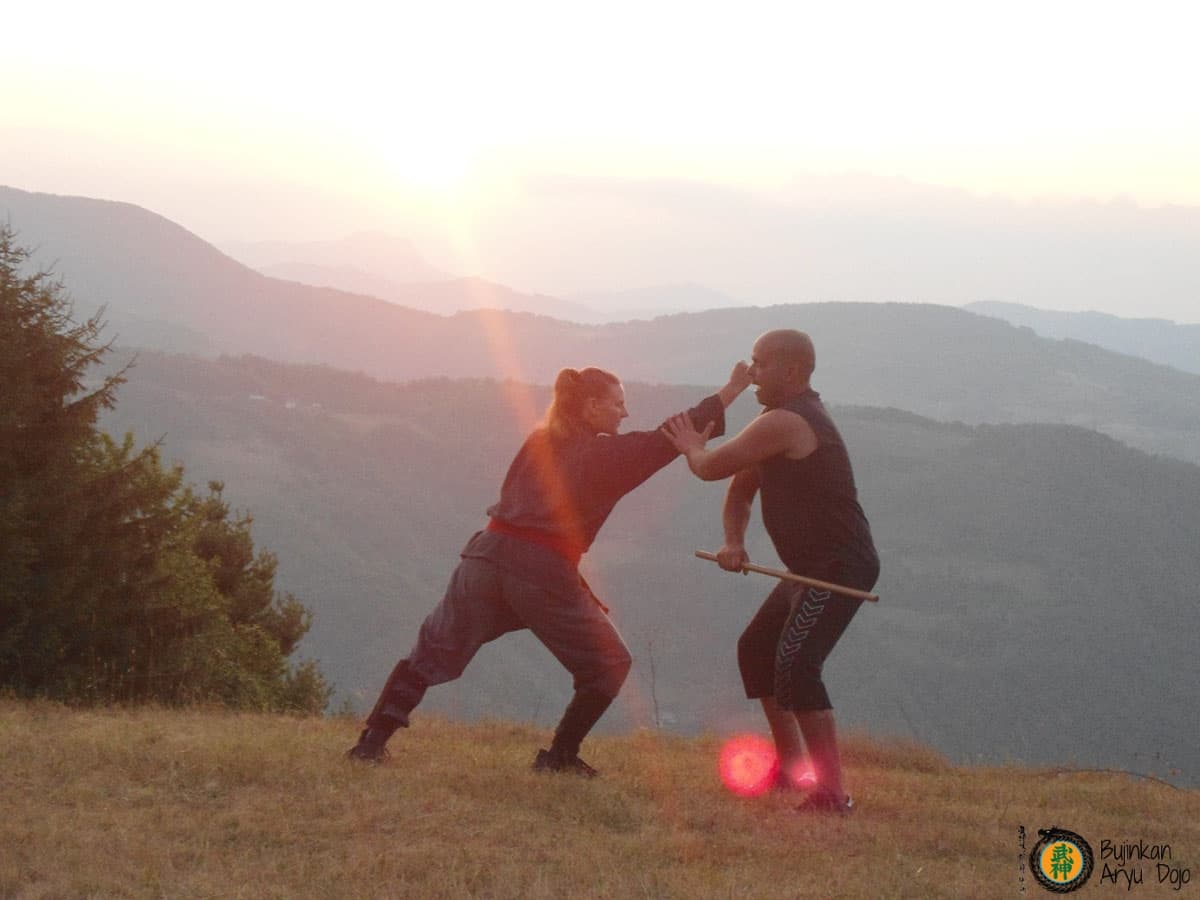 Bujinkan Aryu Dojo - Traditionell Ninjutsu Kampsport Träning 40