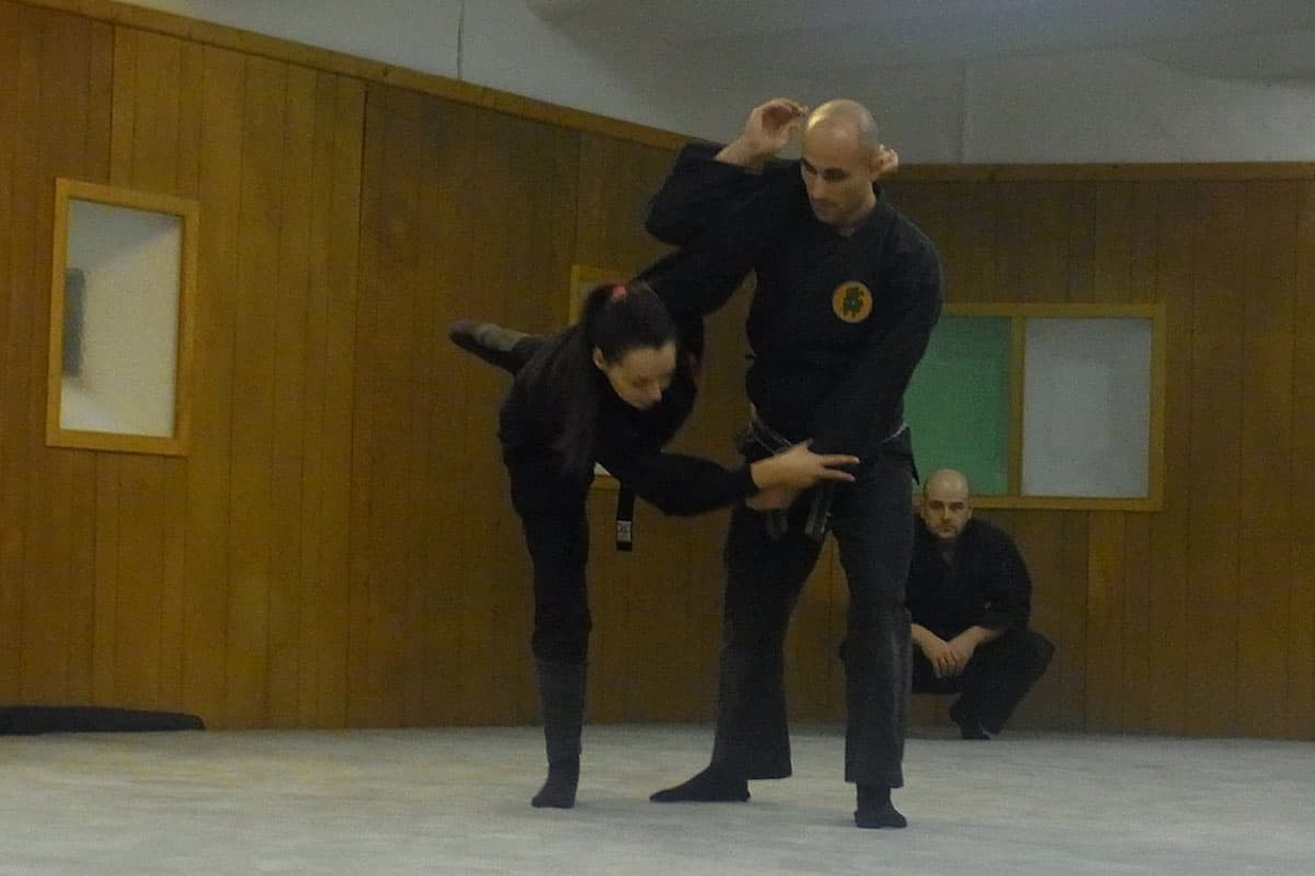 Välkommen till Bujinkan Aryu Dojo - Traditionell Ninjutsu Träning 12