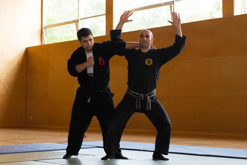Välkommen till Bujinkan Aryu Dojo - Traditionell Ninjutsu Träning 15