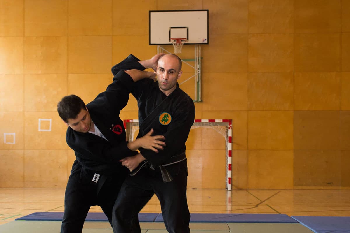 Välkommen till Bujinkan Aryu Dojo - Traditionell Ninjutsu Träning 16