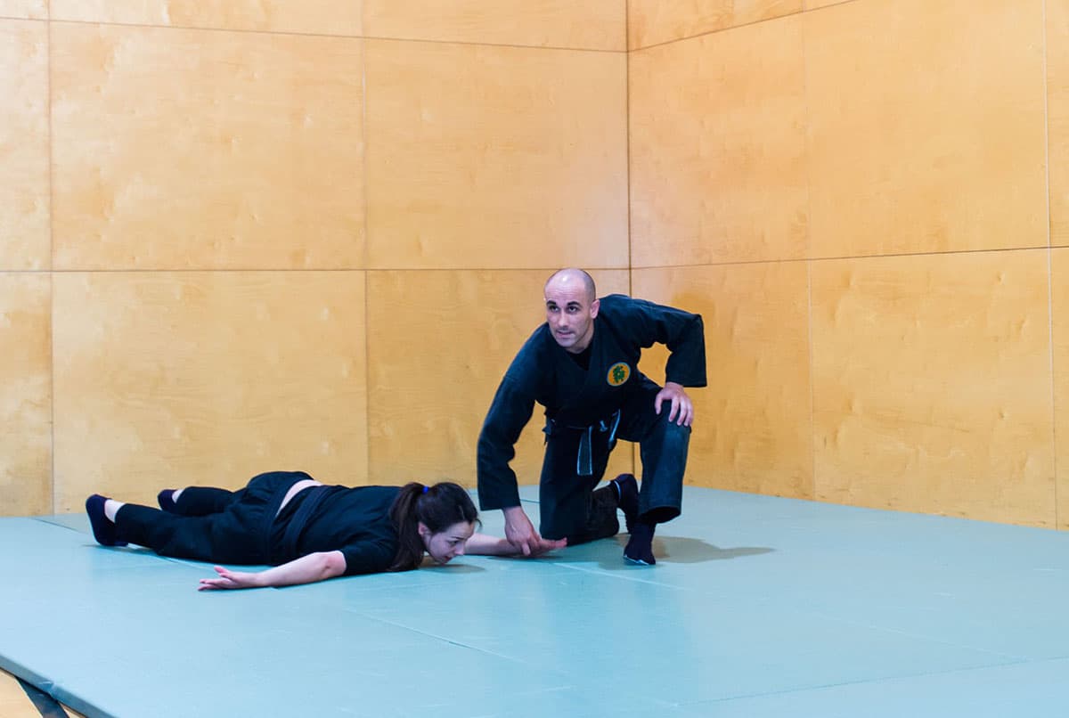 Välkommen till Bujinkan Aryu Dojo - Traditionell Ninjutsu Träning 17