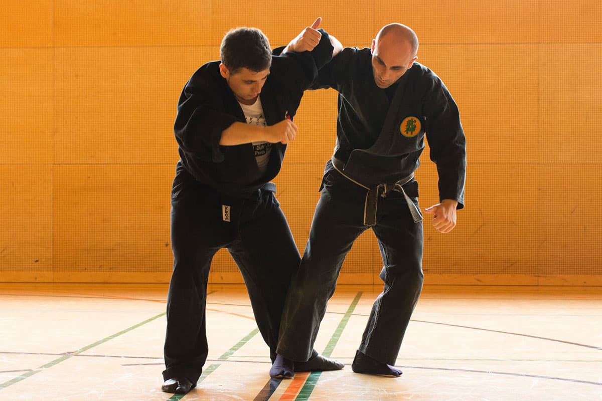 Välkommen till Bujinkan Aryu Dojo - Traditionell Ninjutsu Träning 18
