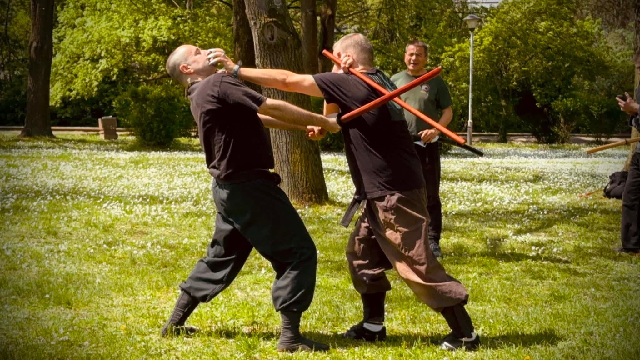 Seminarium med Shihan Bojan Bojić — 1