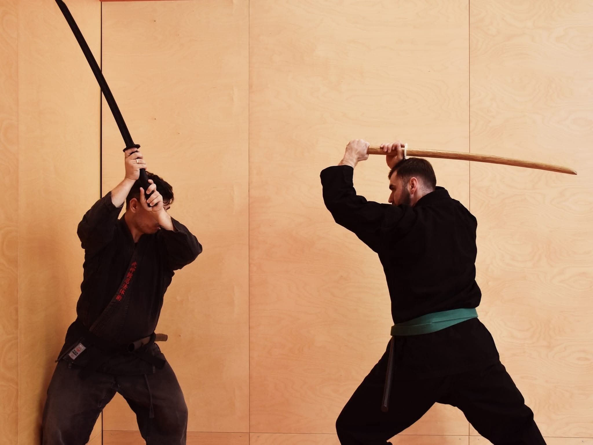 Linz dojo