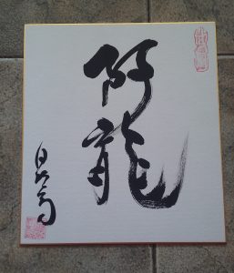 Aryu Budo name given by Soke Hatsumi - Bujinkan Aryu Dojo